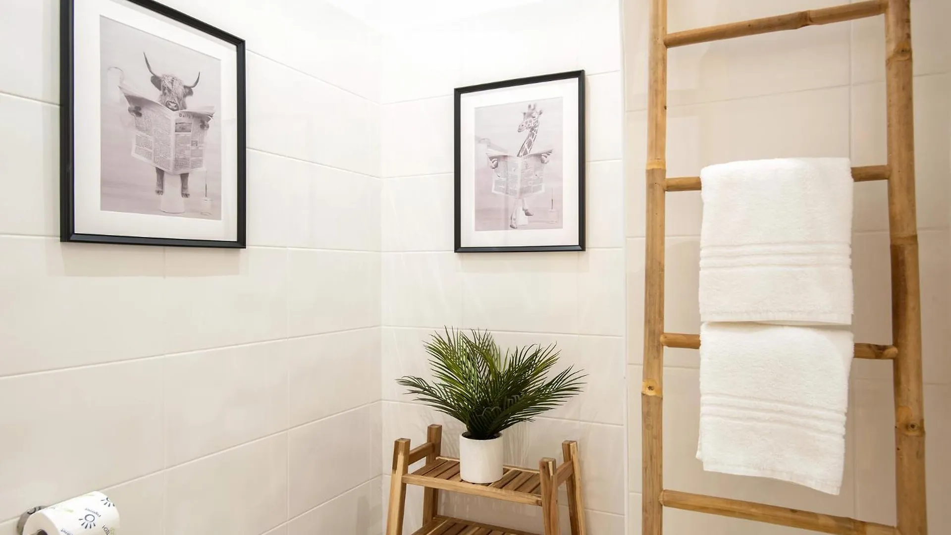 Apartment Brusilva Al Colosseo Rome Italy